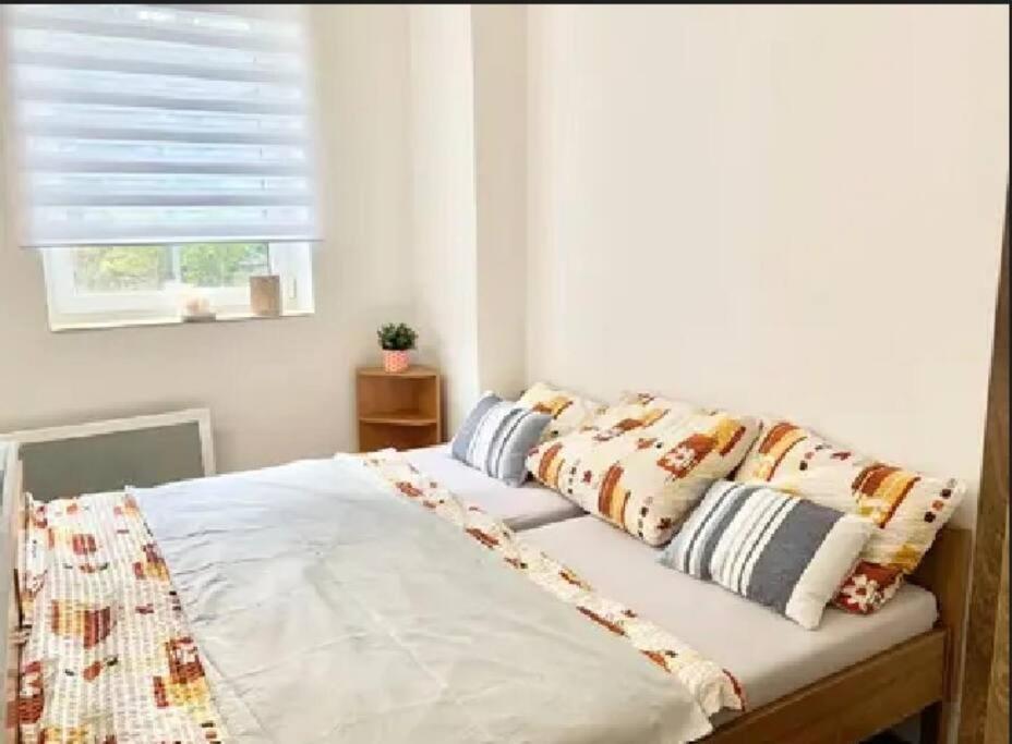Utulny Byt V Jizerskych Horach -Apartman Mili Kořenov Buitenkant foto